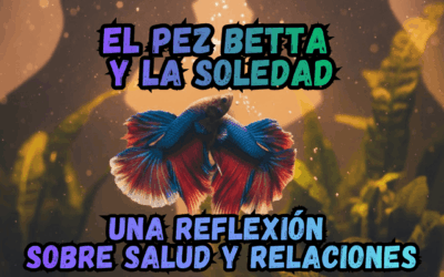 El Betta y la Paradoja de la Soledad: Una Reflexión entre Peces y Humanos