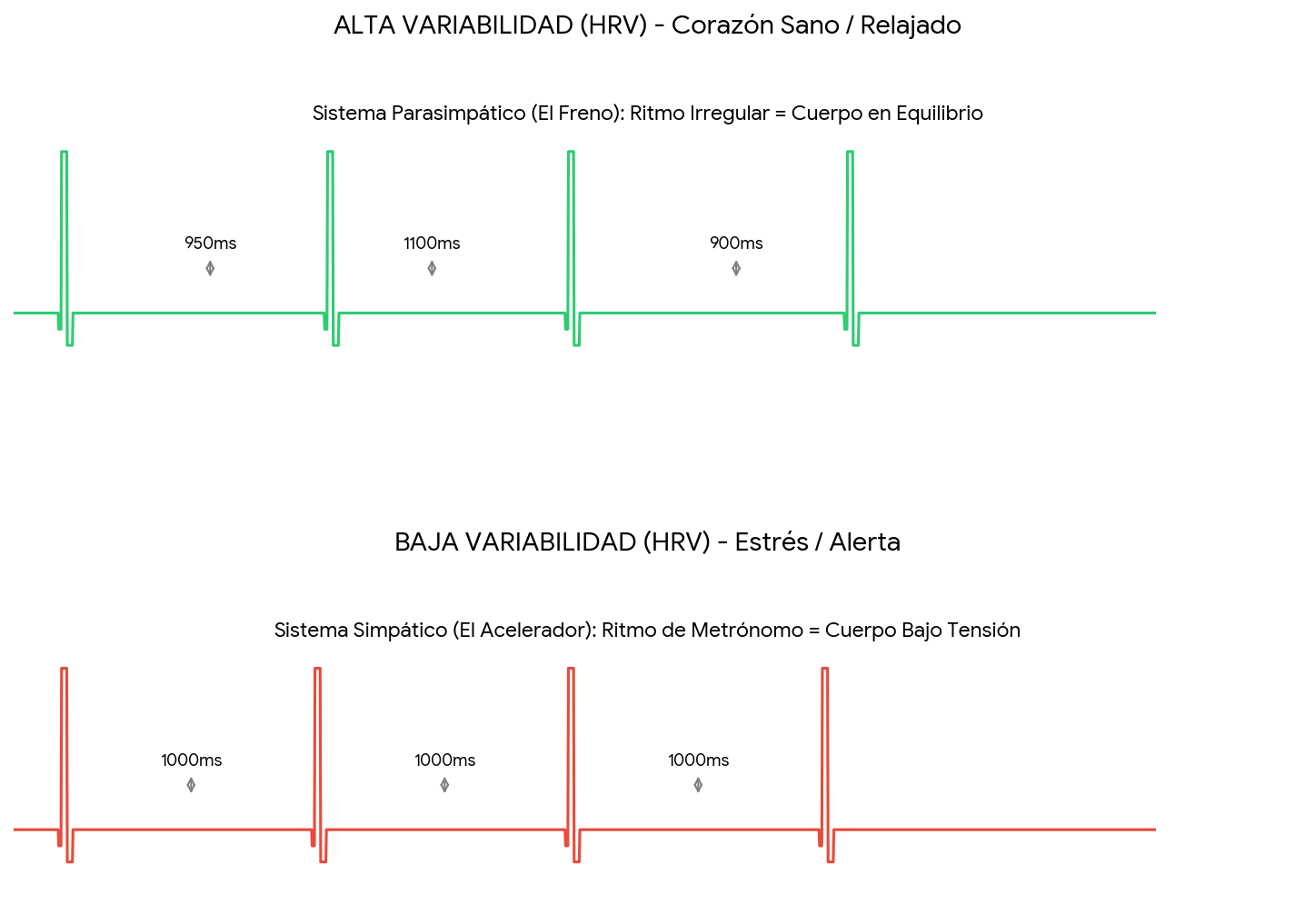 Aplicaciones de fotopletismatografía para uso personal en 2025